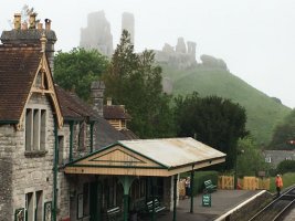 IMG_4469.JPG