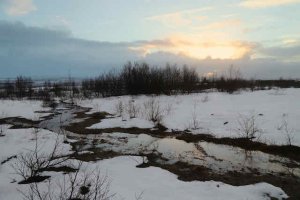 IMG_9524.jpeg