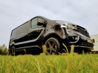 vivaro1.jpg