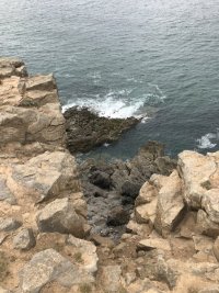 50D0B94B-89F6-4CA4-AA97-7B1744924160.jpeg