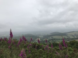IMG_0642.jpg