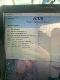 VCDS 2.jpg