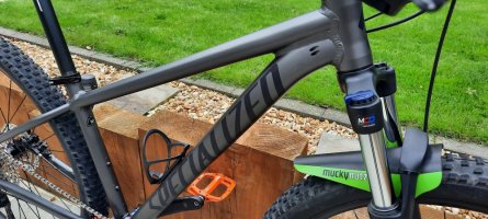 Rockhopper comp 29 online for sale