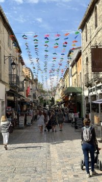 IMG_5636.jpeg