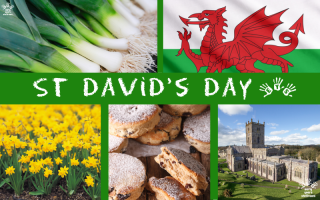 St-Davids-Day-Event-Calendar-.png