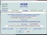 VCDS_BYTE19_BIT7 CX.JPG