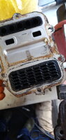 IMG-20200801-WA0005.jpeg