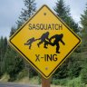 Sasquatch